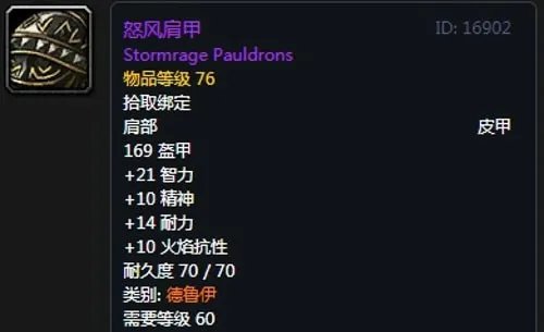 《魔兽世界》怀旧服德鲁伊T2怒风套装属性出处一览