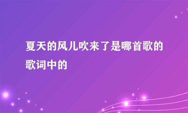 夏天的风儿吹来了是哪首歌的歌词中的