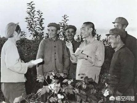 你怎样评价作家浩然的长篇小说《西沙儿女》？