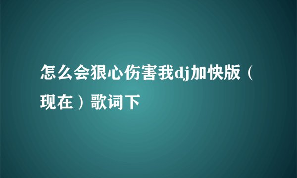 怎么会狠心伤害我dj加快版（现在）歌词下
