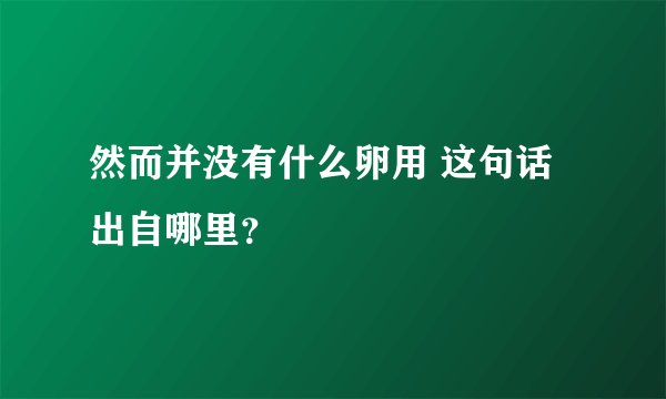 然而并没有什么卵用 这句话出自哪里？
