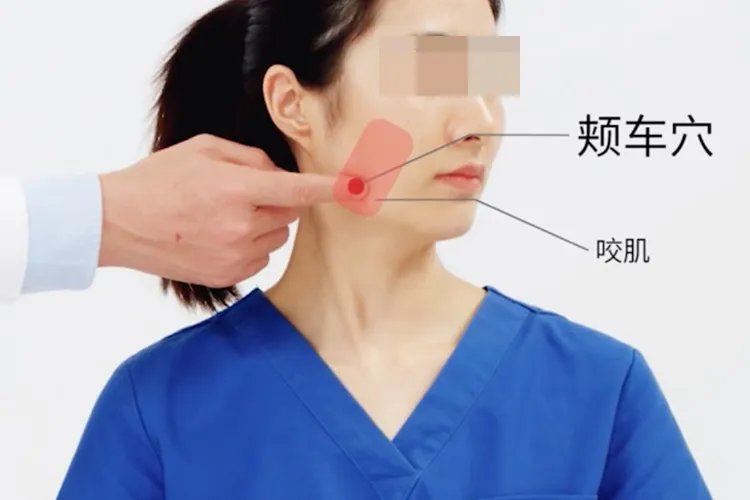 面部24个美容部位
