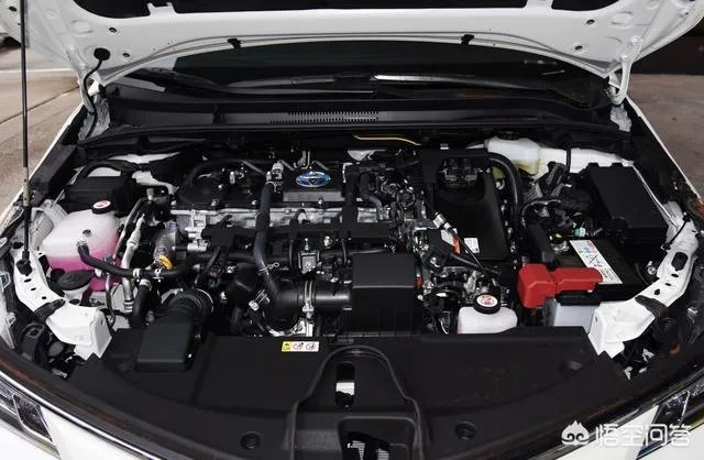 2019款卡罗拉与2019款思域买哪个？为何？