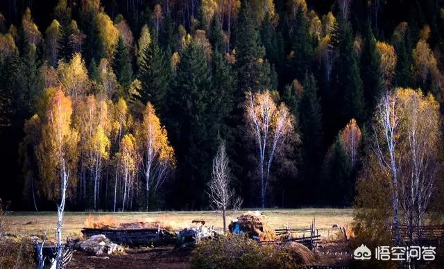 国内有哪些地方被誉为是“摄影人的天堂”？