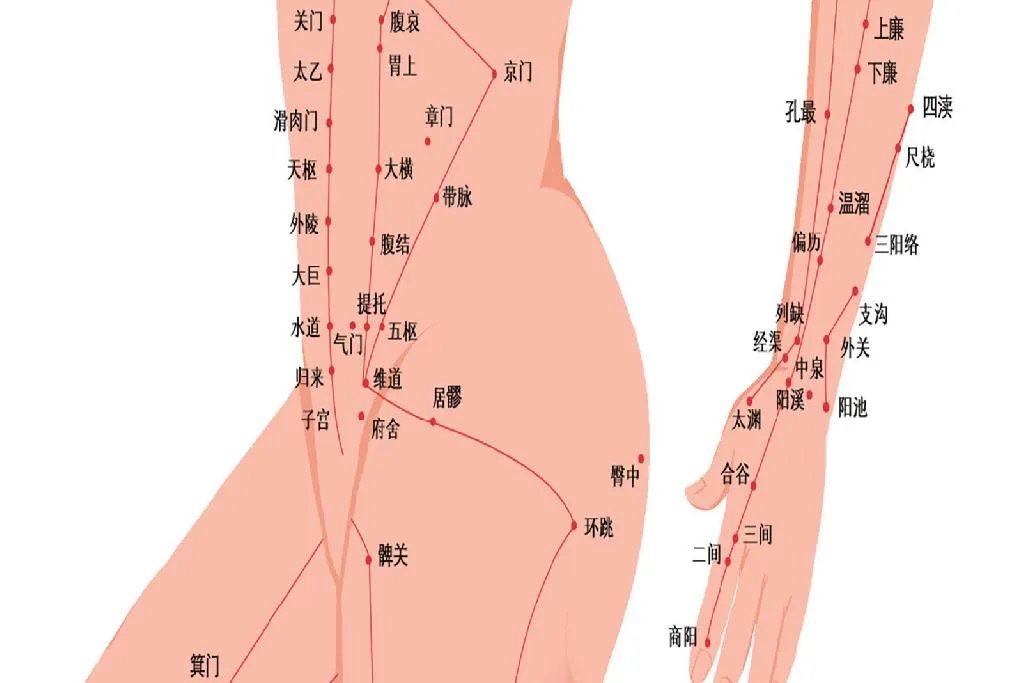 人体经络示意图