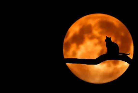 2020年4月8日超级月亮几点 超级月亮2020准确时间