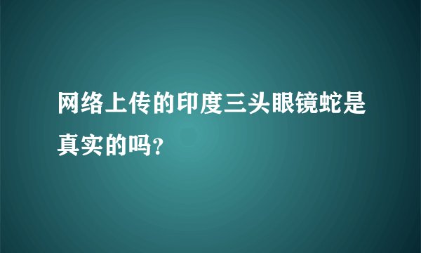 网络上传的印度三头眼镜蛇是真实的吗？