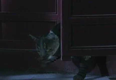 甄嬛传里有哪些穿帮镜头？