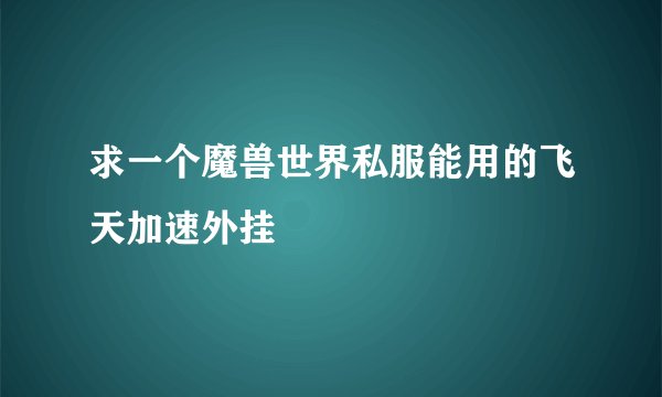求一个魔兽世界私服能用的飞天加速外挂