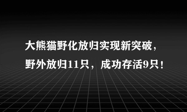 大熊猫野化放归实现新突破，野外放归11只，成功存活9只！