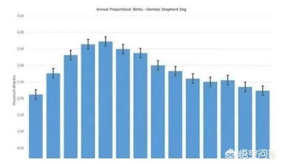 德牧为什么越来越少人养?
