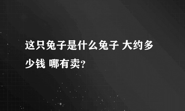 这只兔子是什么兔子 大约多少钱 哪有卖？