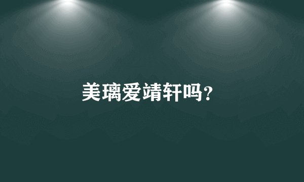 美璃爱靖轩吗？