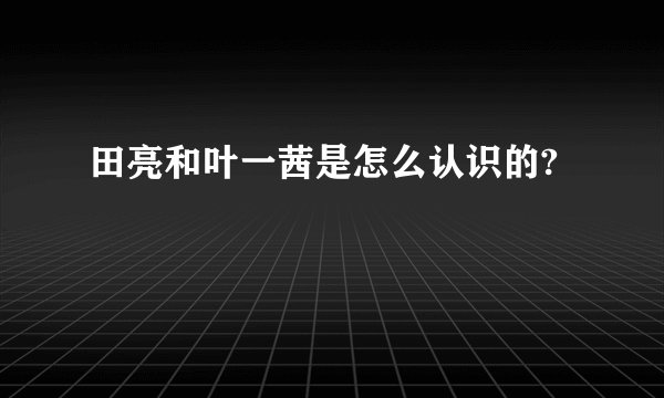 田亮和叶一茜是怎么认识的?