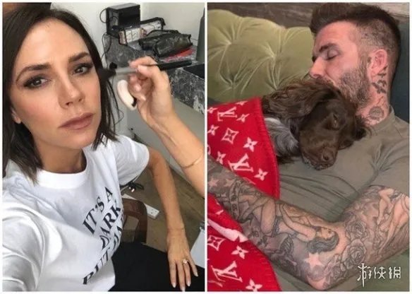 人不如狗！贝克汉姆爱狗披价值五万元毯子被网友炮轰