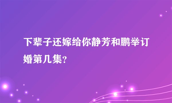 下辈子还嫁给你静芳和鹏举订婚第几集？
