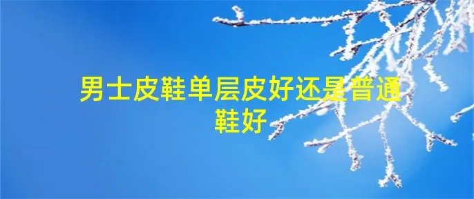 男士皮鞋单层皮好还是普通鞋好