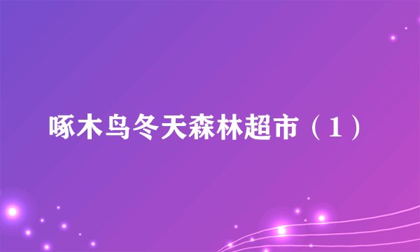 啄木鸟冬天森林超市（1）