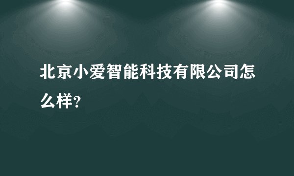 北京小爱智能科技有限公司怎么样？