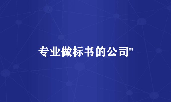 专业做标书的公司