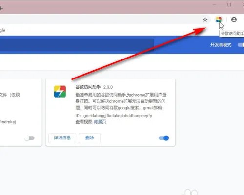 谷歌访问助手打开就不能用是怎么回事