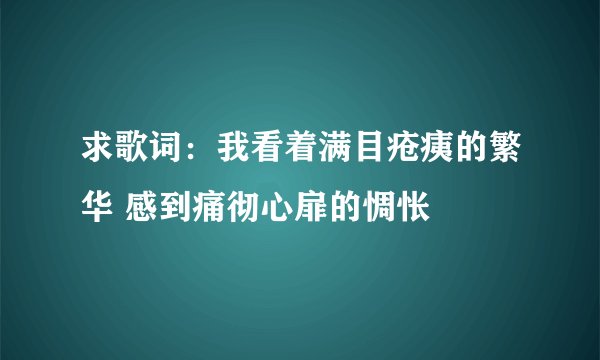 求歌词：我看着满目疮痍的繁华 感到痛彻心扉的惆怅