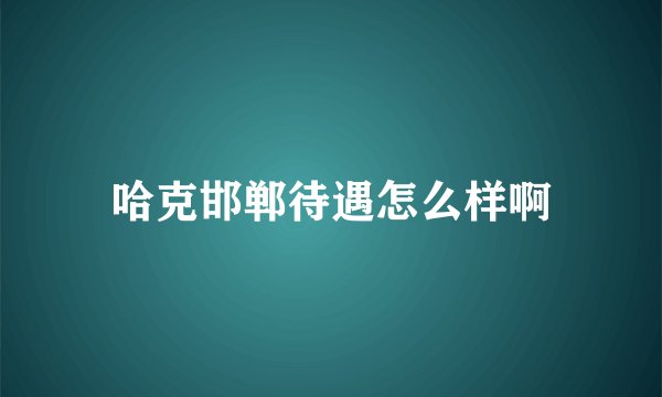 哈克邯郸待遇怎么样啊