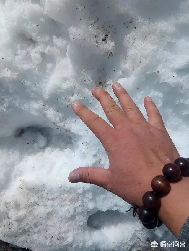 癌症晚期是独自离家出走留一份遗书不拖累家人，还是跟家人度过最后的日子？