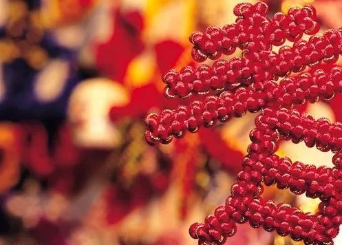 女孩提到去年的春节哽咽了，对你来说今年的春节与去年有何区别？