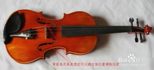 如何选购小提琴？初学者怎样选择小提琴？