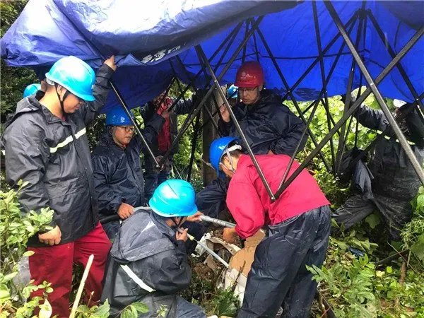 台风黑格比过境之后市区一片狼藉，现场情况是什么样呢？