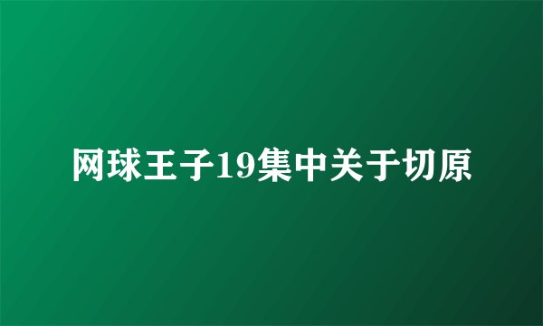 网球王子19集中关于切原