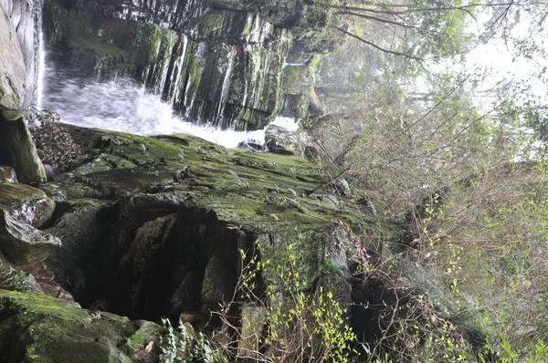 庐山一日游哪些景点可以去