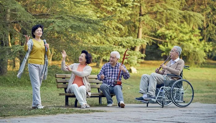 什么是乌木二胡 什么是乌木二胡啊