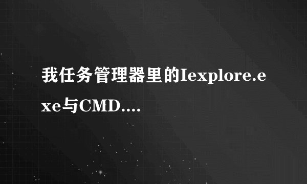我任务管理器里的Iexplore.exe与CMD.EXE是什么意思?