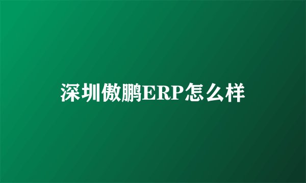深圳傲鹏ERP怎么样