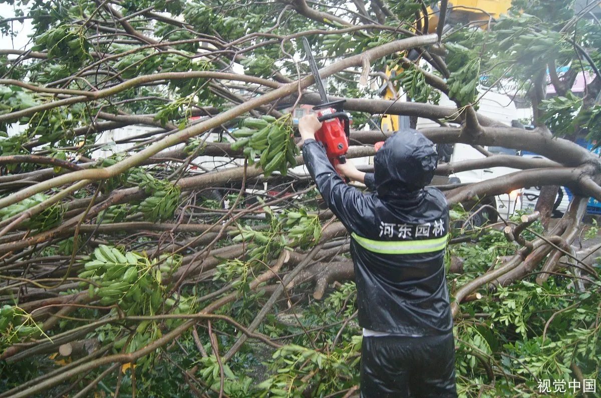漳州龙海一座厂房被吹倒，风力到底有多大呢？