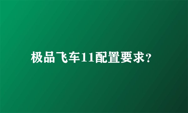 极品飞车11配置要求？