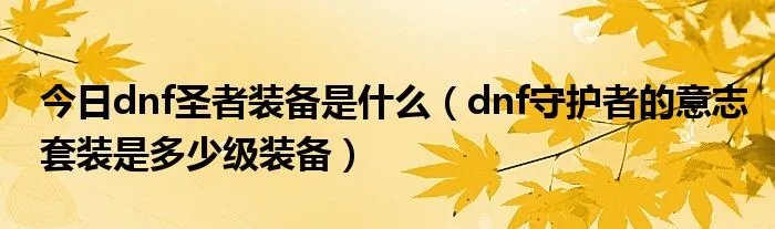今日dnf圣者装备是什么（dnf守护者的意志套装是多少级装备）