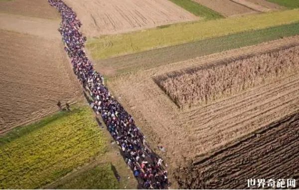 人类史上最大规模迁徙是什么