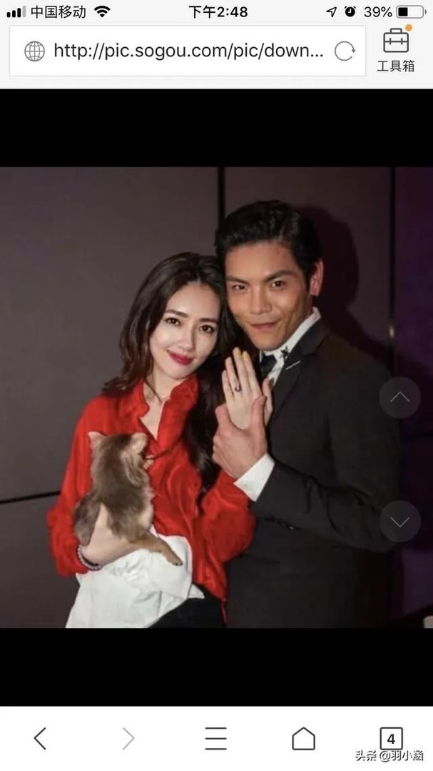 为什么有人说郭碧婷不喜欢向佐？