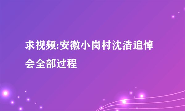 求视频:安徽小岗村沈浩追悼会全部过程
