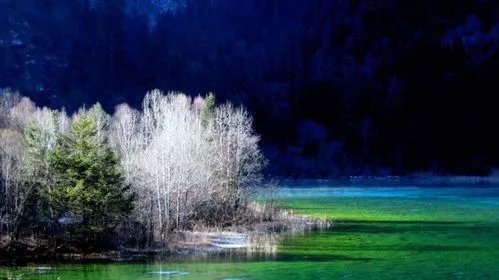 九寨沟旅游自助旅游全攻略