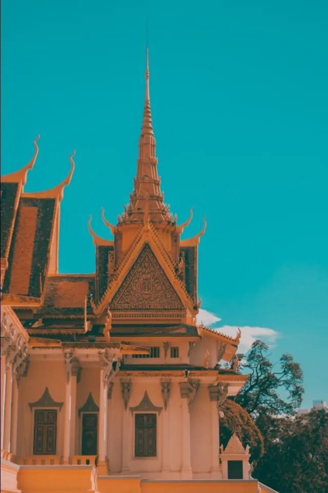 有什么入门单反推荐?跪谢？