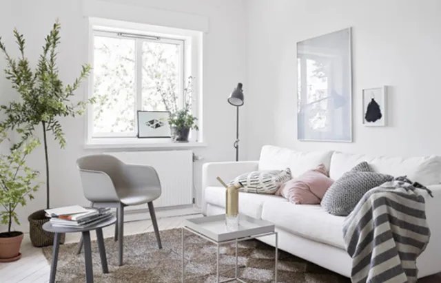 家里的空气污染严重，老师傅这样治理能多活20年