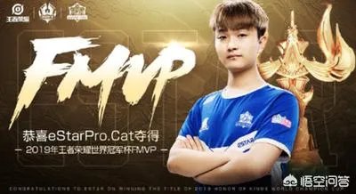 貂蝉新皮肤fmvp值得入手吗？