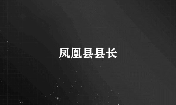 凤凰县县长