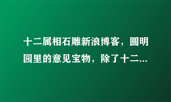 十二属相石雕新浪博客，圆明园里的意见宝物，除了十二生肖的？