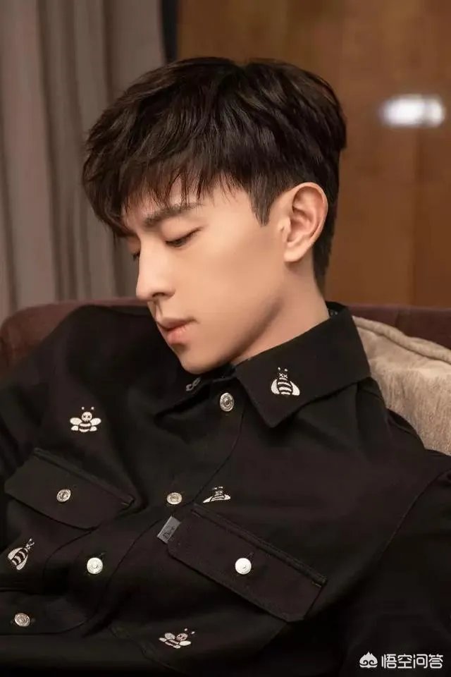 猪年央视春晚阵容公布，你最期待哪位艺人的演出？