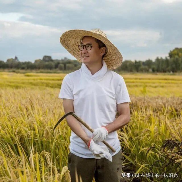 周杰“被封杀”的幕后真相是强吻林心如吗？还是另有原因？